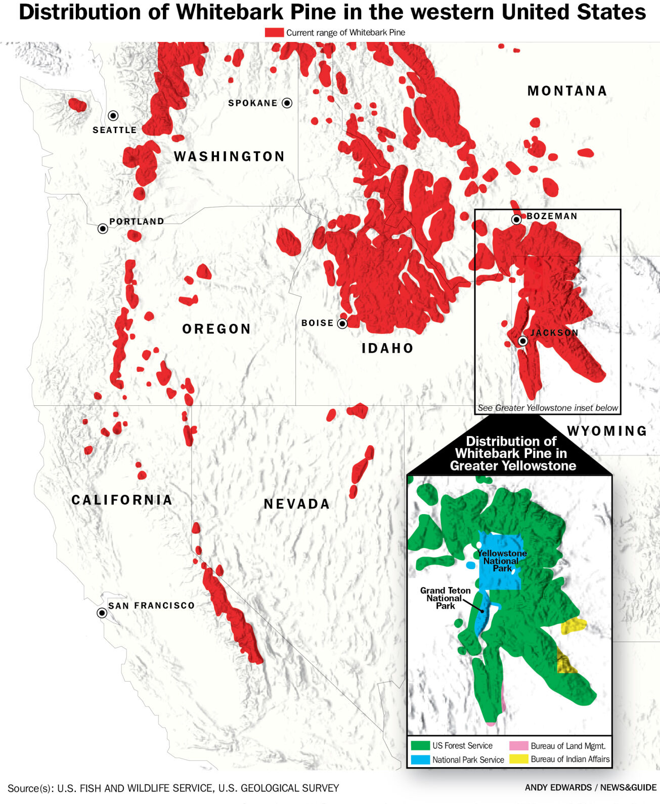 Distribution of Whitebark Pine
